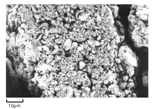 Figure 7. Internal and external texture of a granular polymer