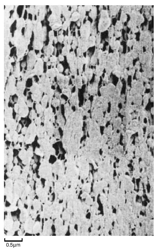 Figure 5. Longitudinal section through unsintered extrudate