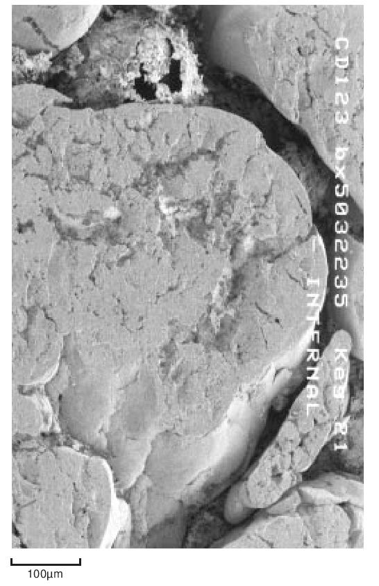 Figure 3. Particles of dispersion polymer