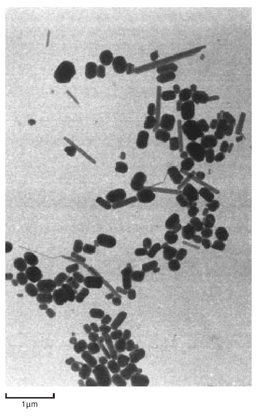 Figure 3. Particles of dispersion polymer